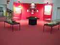 VIVARIUM Krokodil Artenschutz-Ausstellung2